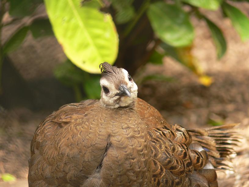 Photography by cooganj for DesignCrowd (Community Contests) | Design #9034634