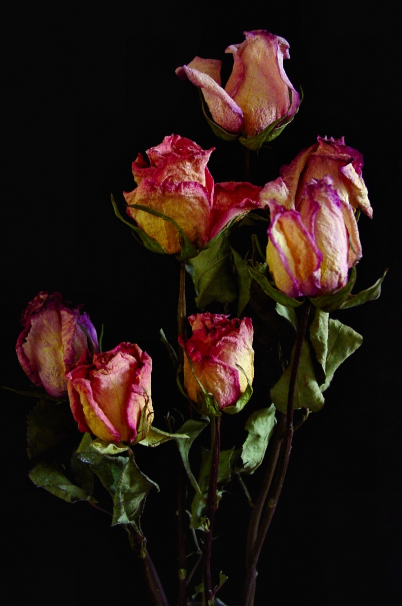 Photography by Keyivory for DesignCrowd (Community Contests) | Design #9040454