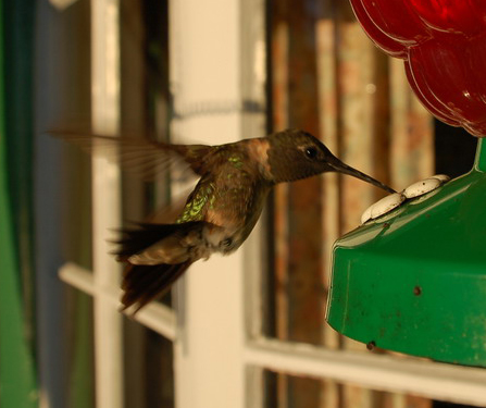 Photography by u2one1 for DesignCrowd (Community Contests) | Design #9034776