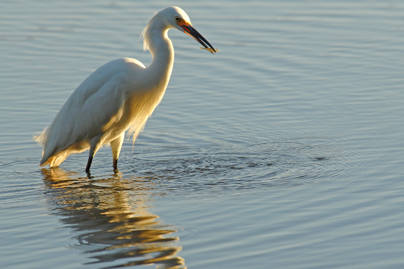 Photography by Joanne25 for DesignCrowd (Community Contests) | Design #9034778