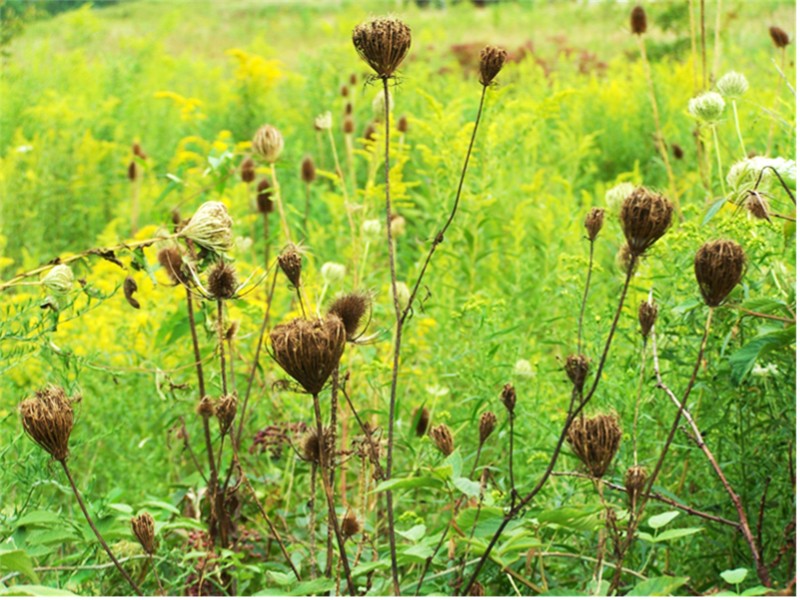 Photography by wildnature for DesignCrowd (Community Contests) | Design #9040453