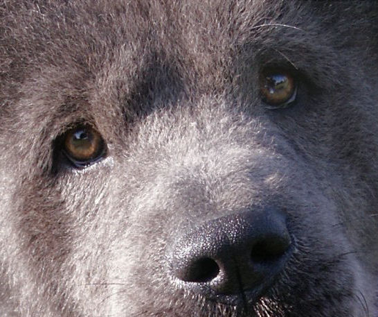 Photography by alwaysbeencreative for DesignCrowd (Community Contests) | Design #9038754