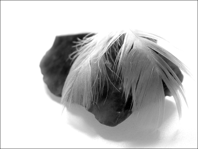 Fotografía por zensoul para DesignCrowd (Community Contests) | Diseño #9028546