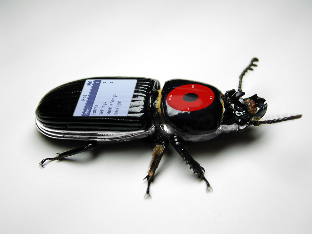 Photoshop Design by tiocoy for DesignCrowd (Community Contests) | Design #9042696