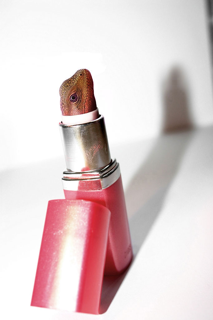 Photoshop Design by Partyshot for DesignCrowd (Community Contests) | Design #9042689