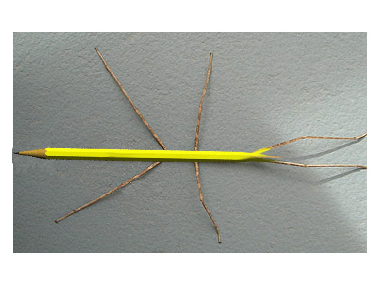 Design Photoshop par WiseMonkey pour DesignCrowd (Community Contests) | Design #9042710