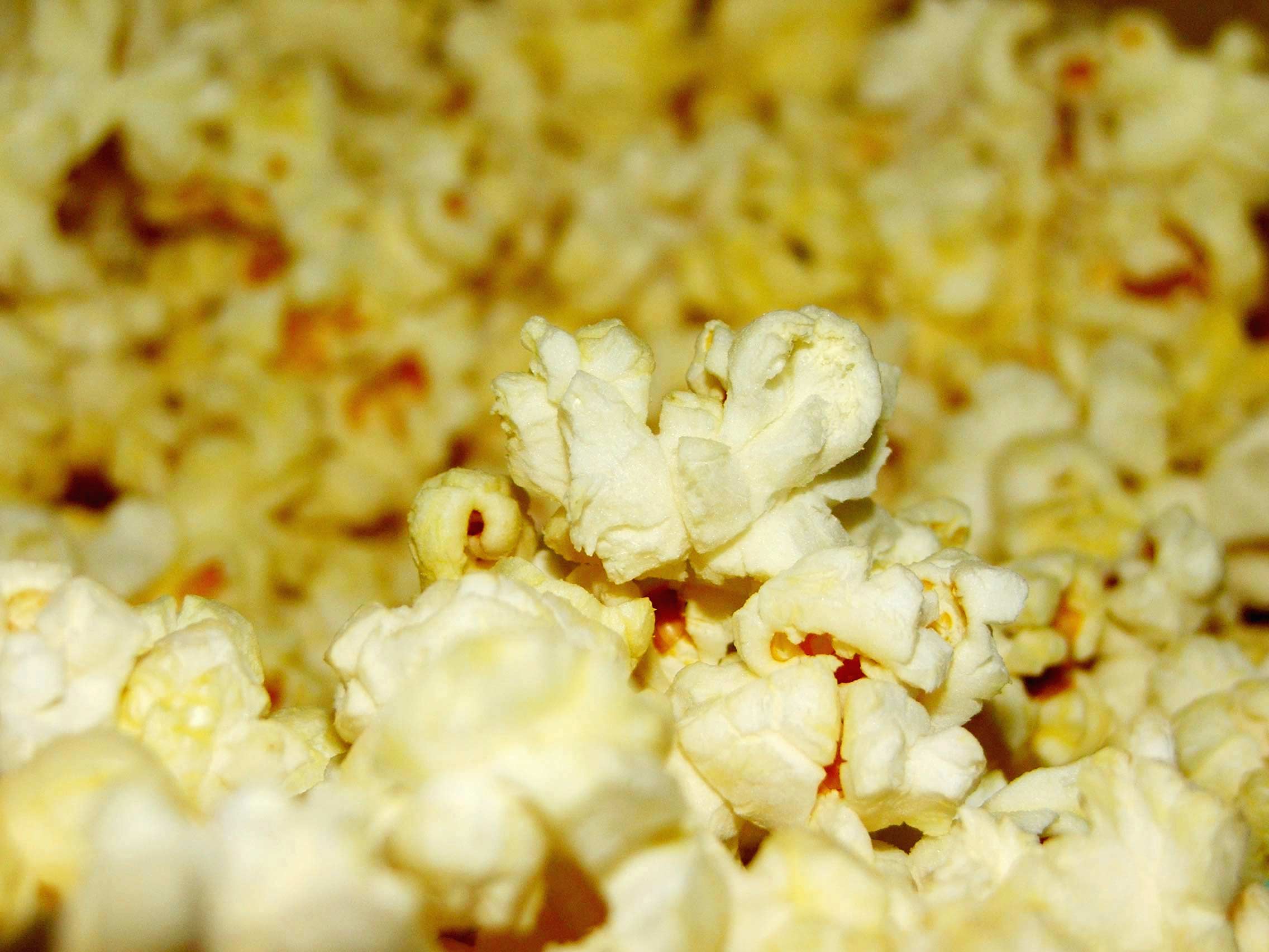 Photography by mcremin for DesignCrowd (Community Contests) | Design #9038802