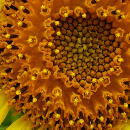 Photography by Tim516 for DesignCrowd (Community Contests) | Design #9038806