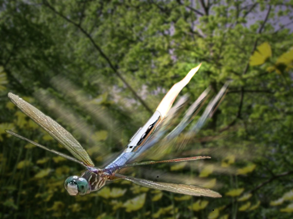 Photoshop Design by BotulismtheBrat for DesignCrowd (Community Contests) | Design #9042778