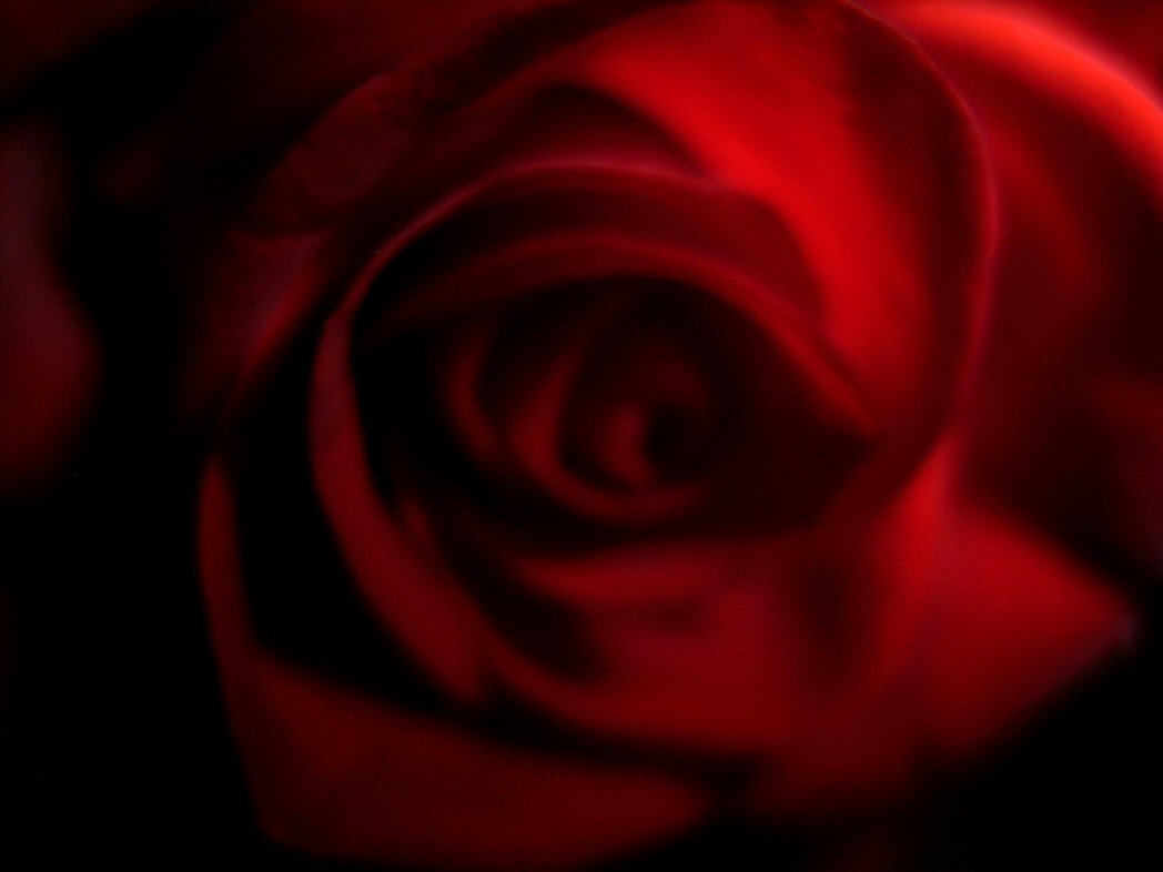 Fotografía por Destinyzkid para DesignCrowd (Community Contests) | Diseño #9038813