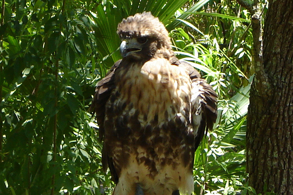 Fotografie von zoomtictac für DesignCrowd (Community Contests) | Design #9034832