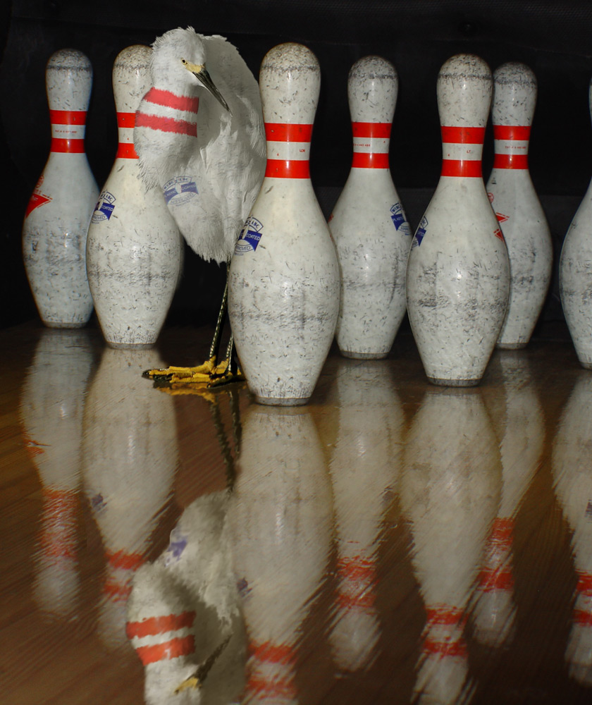 Photoshop Design by Redbull_UK for DesignCrowd (Community Contests) | Design #9042718