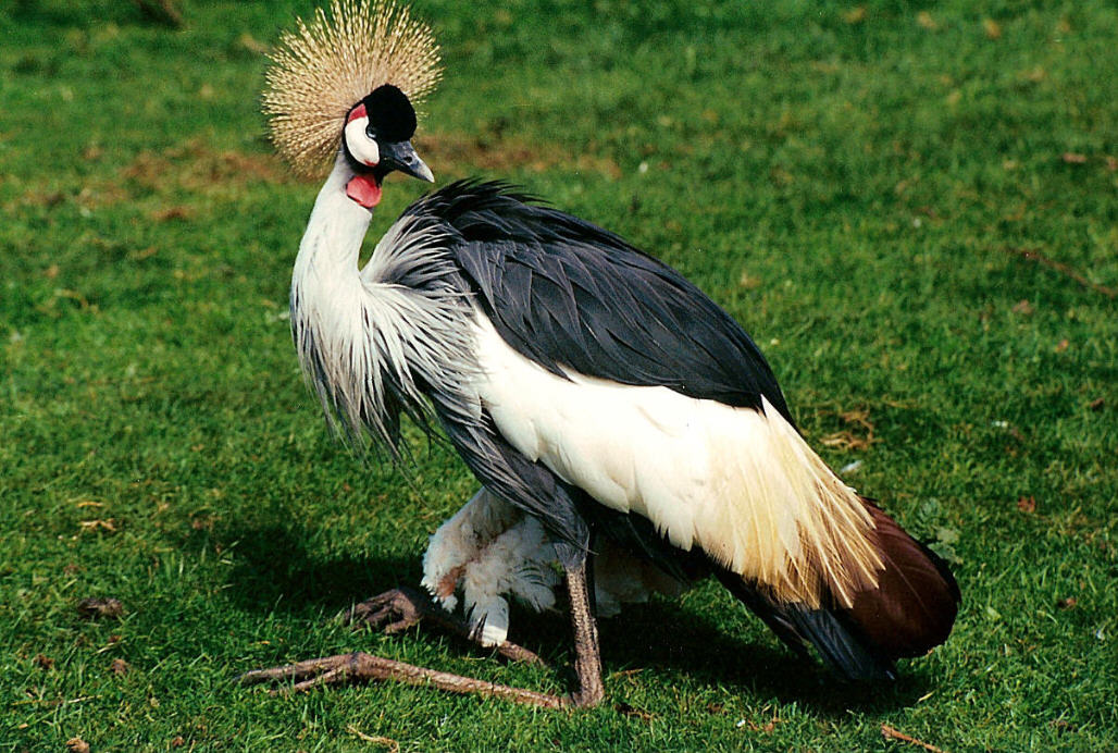 Photography by ada1621 for DesignCrowd (Community Contests) | Design #9034791