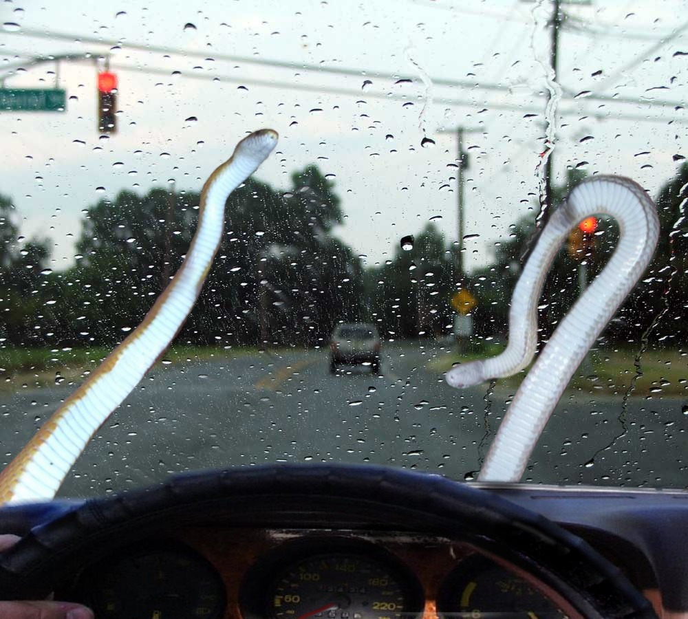 Diseño de Photoshop por Spudley99 para DesignCrowd (Community Contests) | Diseño #9042869