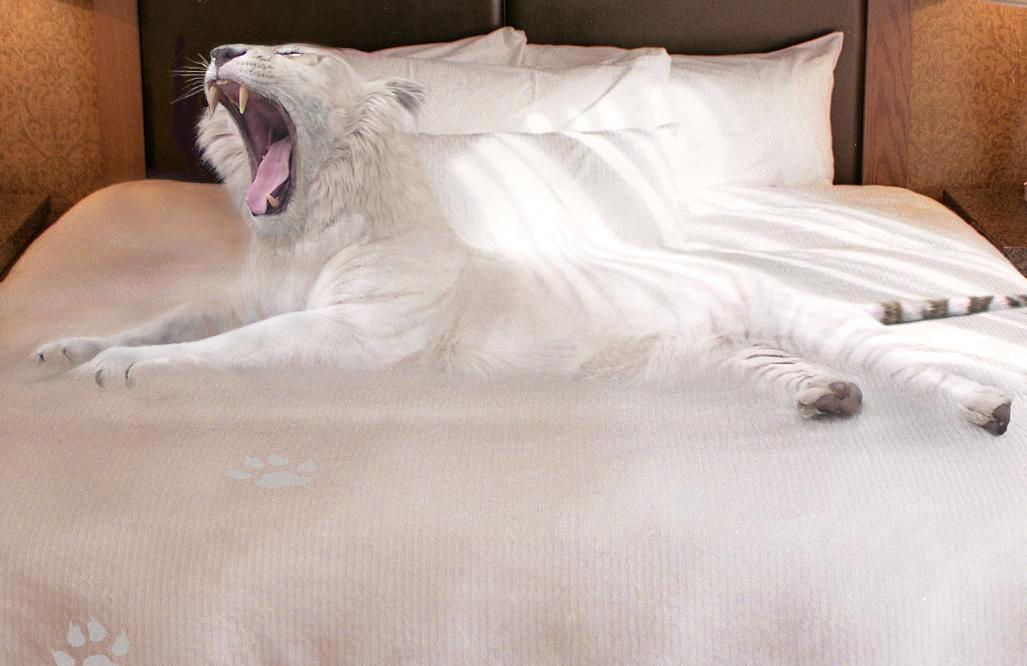 Diseño de Photoshop por sugarcane para DesignCrowd (Community Contests) | Diseño #9042812