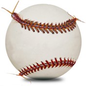 Photoshop Design by tq6643