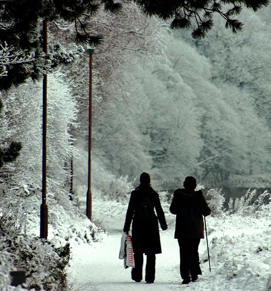 Photography by DurhamTyke for DesignCrowd (Community Contests) | Design #9039232