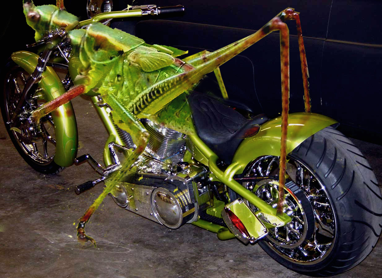 Photoshop-Design von ayoksus für DesignCrowd (Community Contests) | Design #9042820