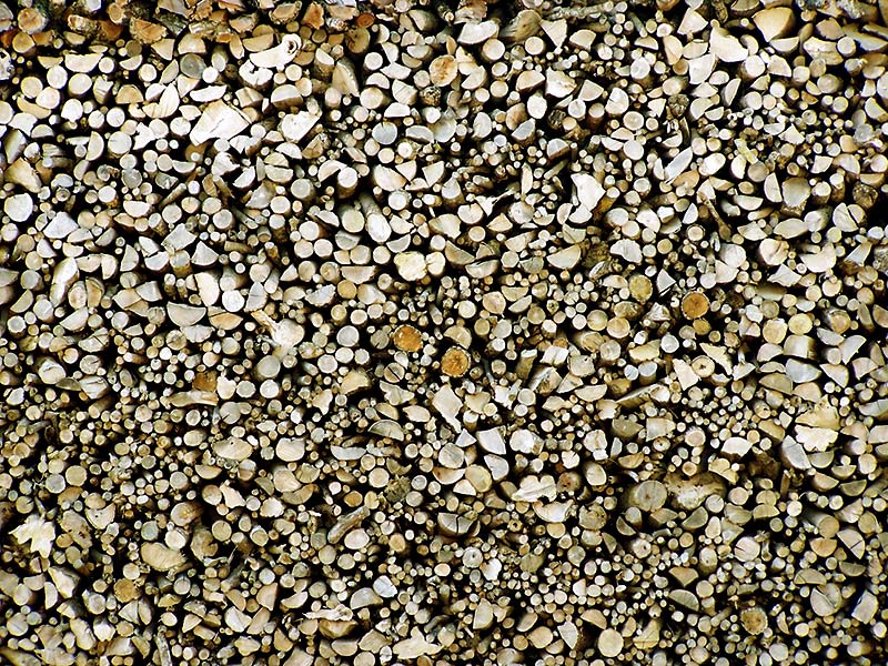 Photography by asmorod for DesignCrowd (Community Contests) | Design #9038828