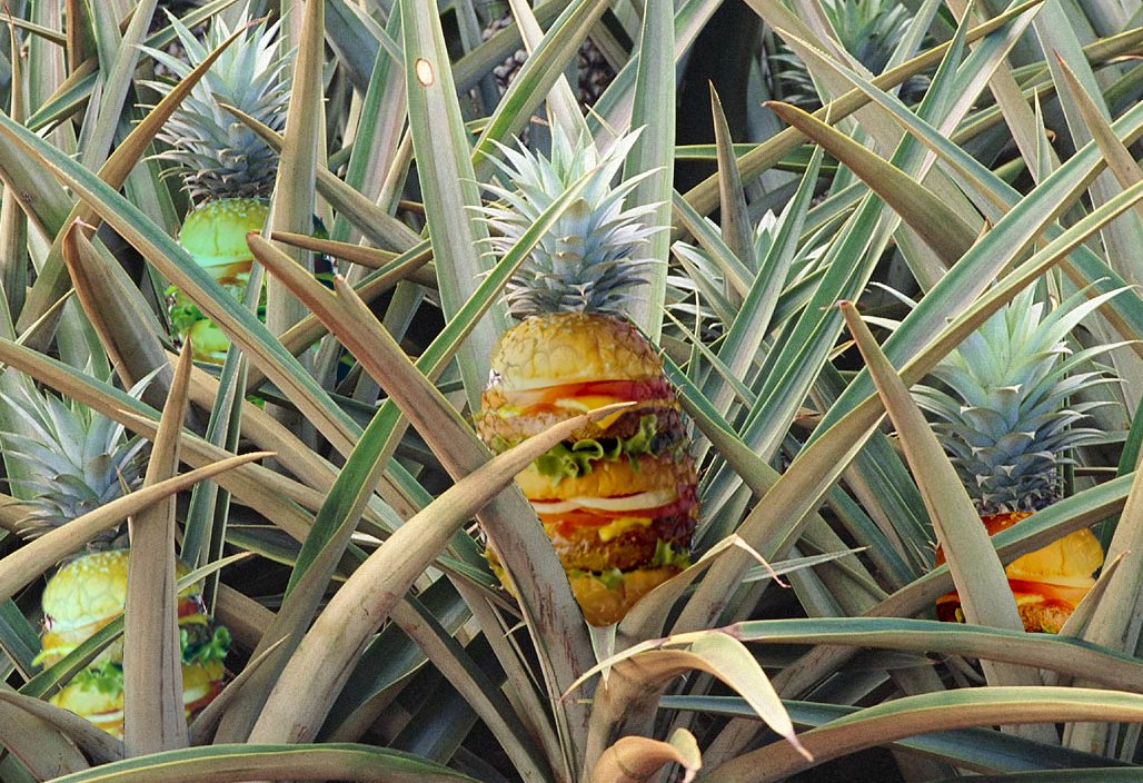 Photoshop Design by vytcheslav for DesignCrowd (Community Contests) | Design #9042576