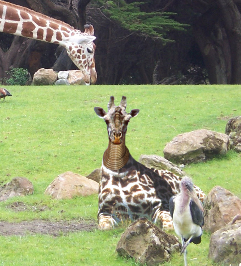 Diseño de Photoshop por boris200 para DesignCrowd (Community Contests) | Diseño #9042621