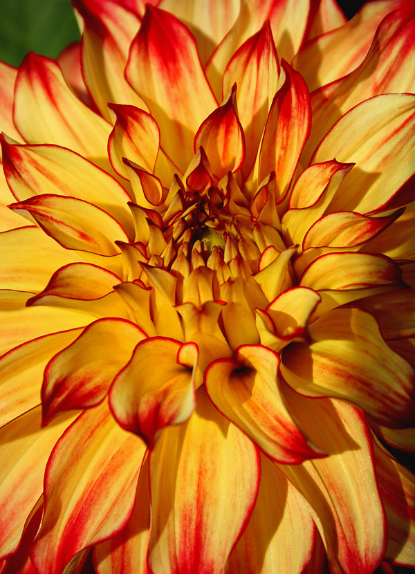 Fotografía por aquario para DesignCrowd (Community Contests) | Diseño #9038909
