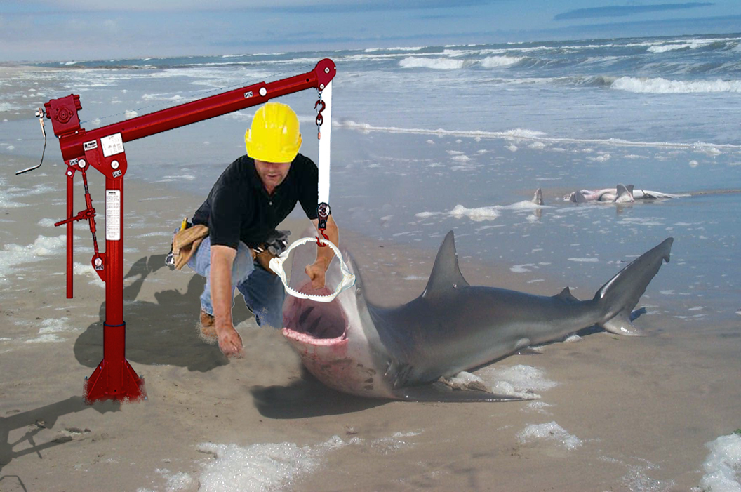 Diseño de Photoshop por Flexodus para DesignCrowd (Community Contests) | Diseño #9042608