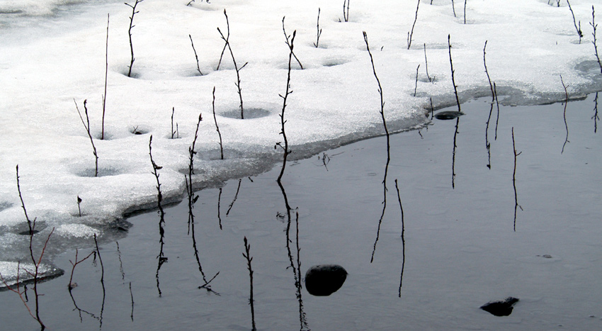 Photography by MisterSir for DesignCrowd (Community Contests) | Design #9039298