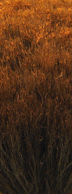 Fotografie von zoomtictac für DesignCrowd (Community Contests) | Design #9039052