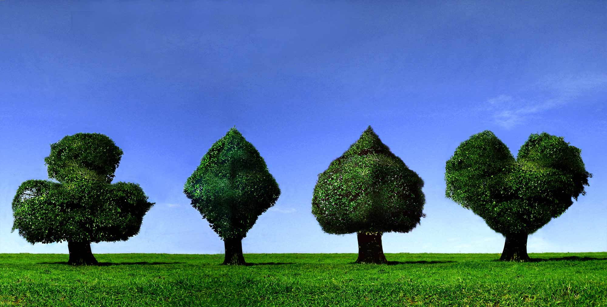 Photoshop Design by A1A1L1O1A1A1M2 for DesignCrowd (Community Contests) | Design #9097608