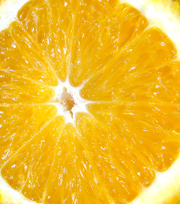 Photographie par thenegativeone pour DesignCrowd (Community Contests) | Design #9038933