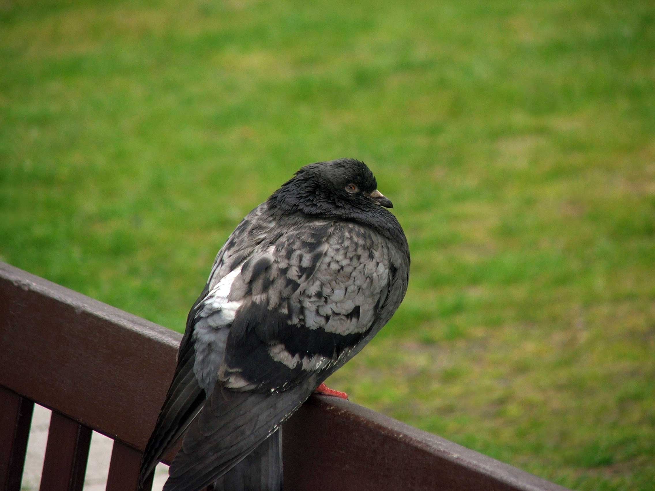 Photography by Downie for DesignCrowd (Community Contests) | Design #9034914