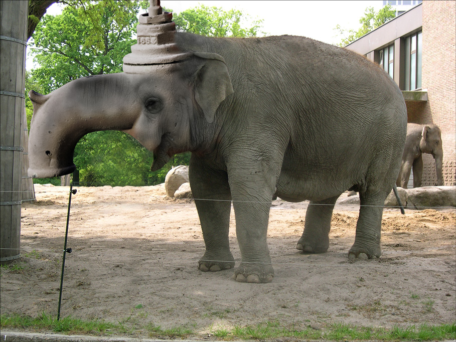 Photoshop Design by Sassydeb for DesignCrowd (Community Contests) | Design #9042674