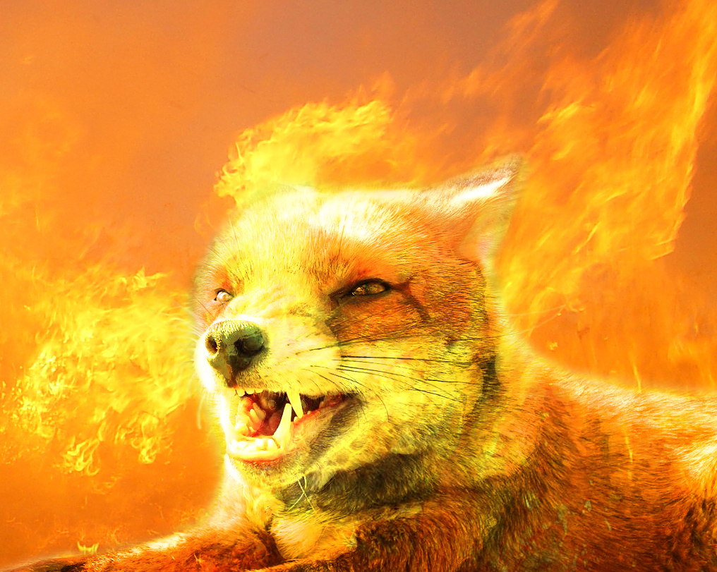 Photoshop Design by majkie for DesignCrowd (Community Contests) | Design #9028368