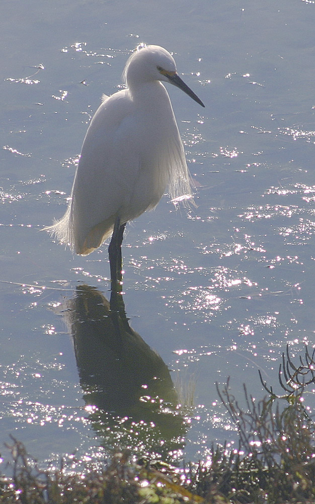 Fotografía por imagex para DesignCrowd (Community Contests) | Diseño #9034942