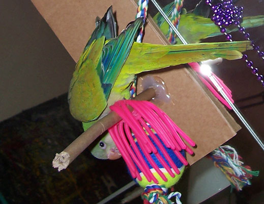 Photography by birdbluff for DesignCrowd (Community Contests) | Design #9034916