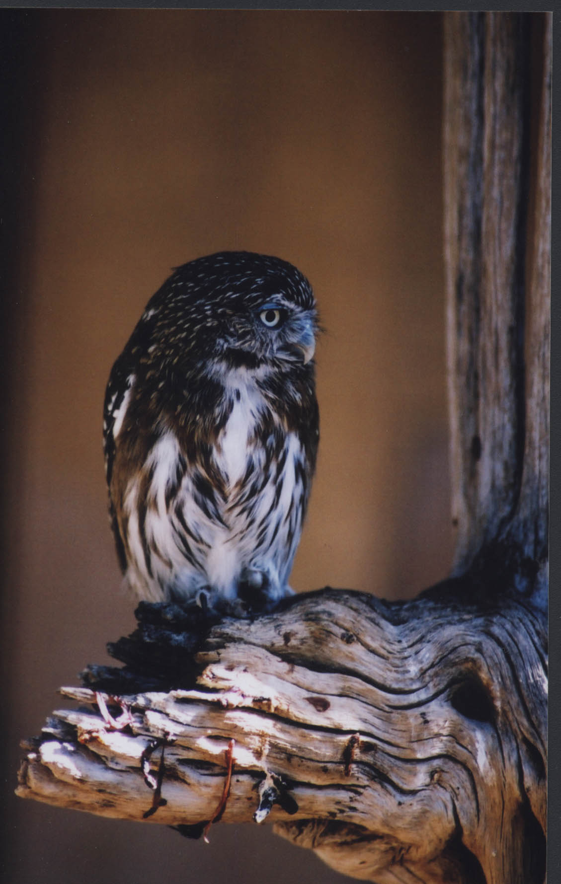 Photography by jcorkermullins for DesignCrowd (Community Contests) | Design #9034935