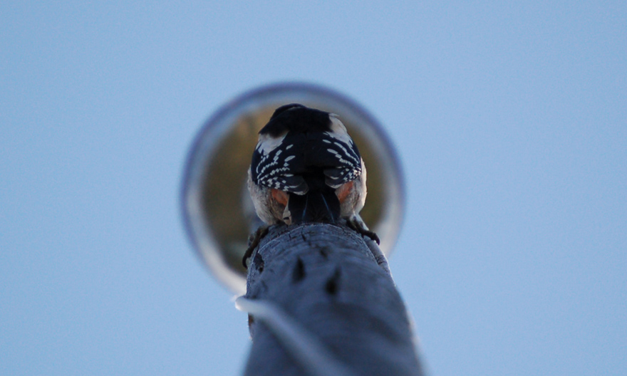 Photography by Reconban for DesignCrowd (Community Contests) | Design #9034891