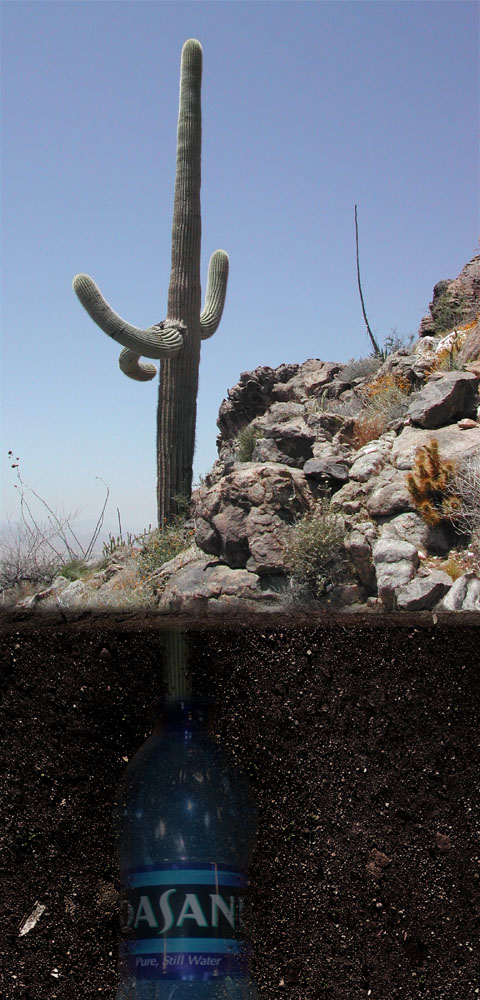 Diseño de Photoshop por h2oscienceguy081 para DesignCrowd (Community Contests) | Diseño #9042658