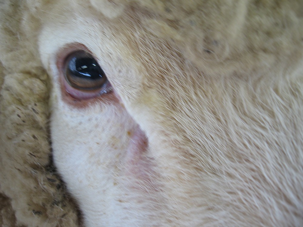 Fotografía por spincast1123 para DesignCrowd (Community Contests) | Diseño #9038925