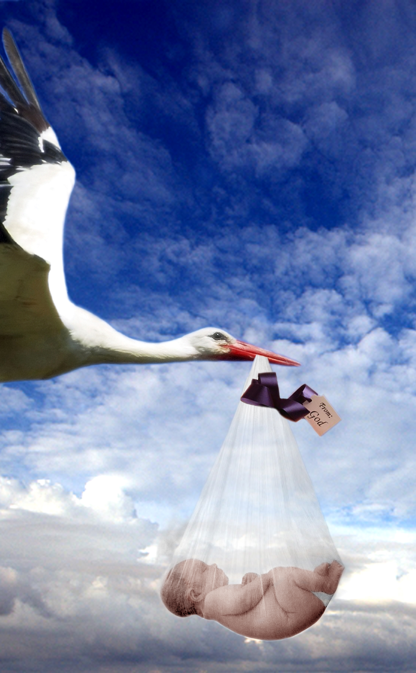 Photoshop-Design von ozlemarc für DesignCrowd (Community Contests) | Design #9042663