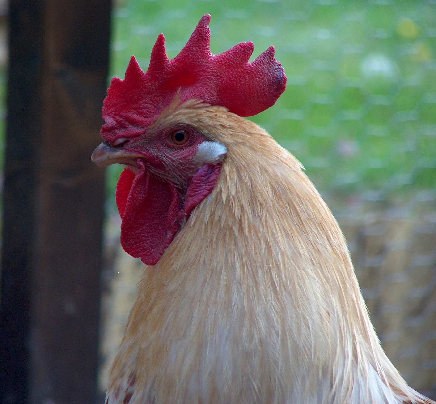 Photography by Hendershot for DesignCrowd (Community Contests) | Design #9034953