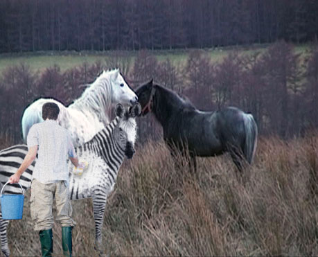 Diseño de Photoshop por Deborahb para DesignCrowd (Community Contests) | Diseño #9042643