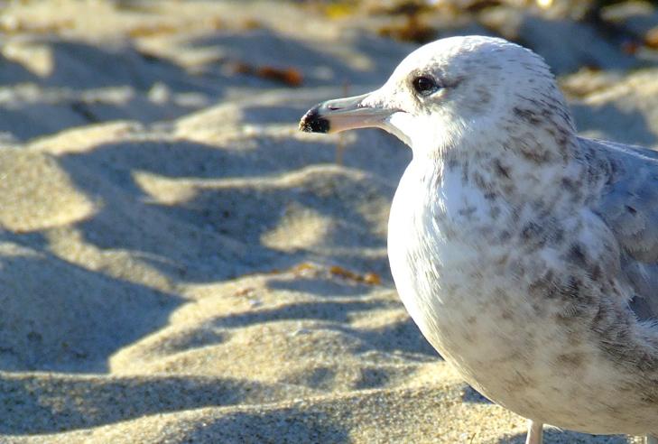 Photography by PatrickRyan for DesignCrowd (Community Contests) | Design #9028271