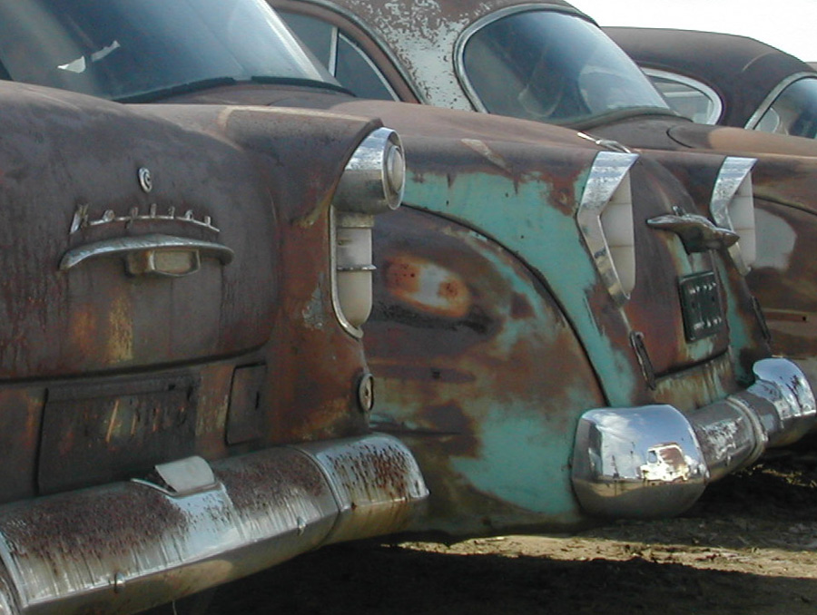 Photography by Jellybellybeans for DesignCrowd (Community Contests) | Design #9038938