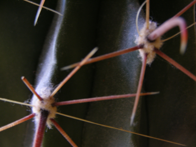 Photography by Tool47 for DesignCrowd (Community Contests) | Design #9039013