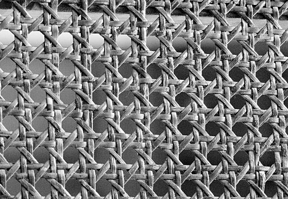 Photography by alxkueyar for DesignCrowd (Community Contests) | Design #9039024