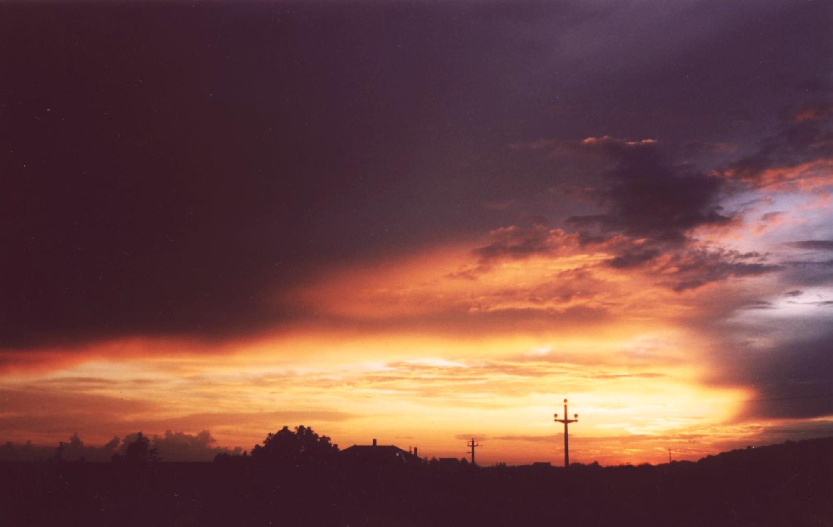 Fotografie von poisonyvy für DesignCrowd (Community Contests) | Design #9035873