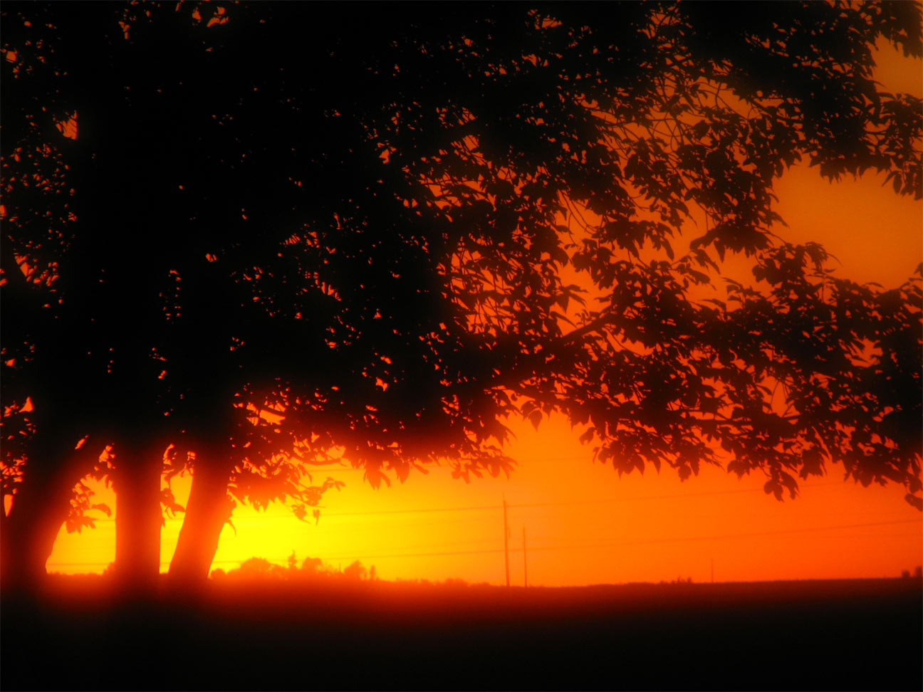 Photography by Thetick3 for DesignCrowd (Community Contests) | Design #9035830