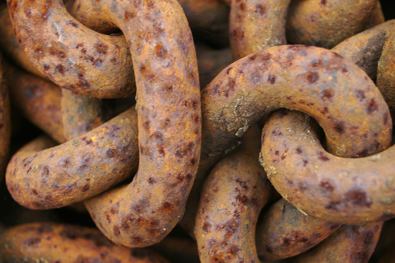 Photography by Bassie for DesignCrowd (Community Contests) | Design #9039235